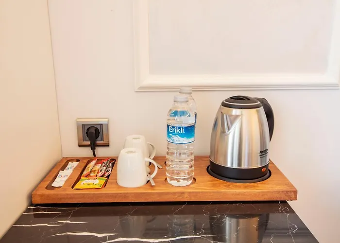 Endican Beyazit מלון