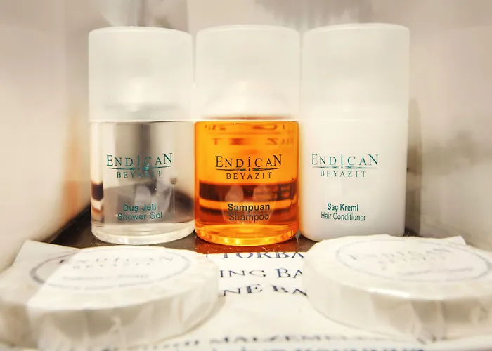 Endican Beyazit Hotel 3*